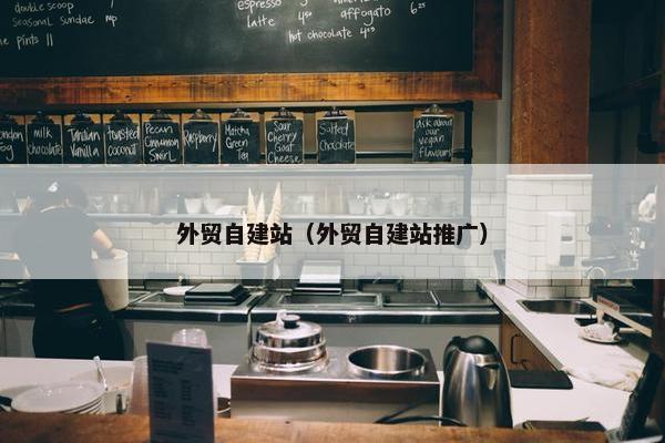 外贸自建站（外贸自建站推广）