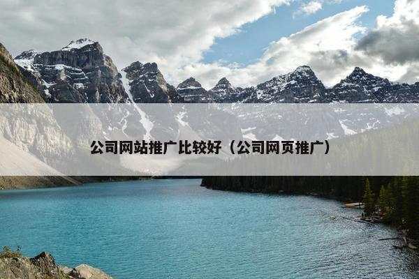 公司网站推广比较好（公司网页推广）