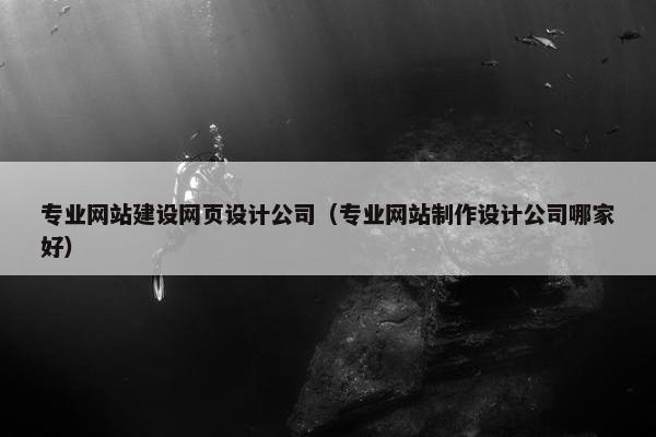 专业网站建设网页设计公司（专业网站制作设计公司哪家好）