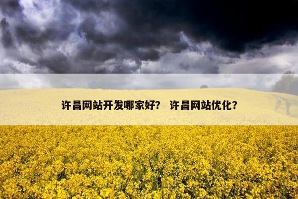 许昌网站开发哪家好？ 许昌网站优化？