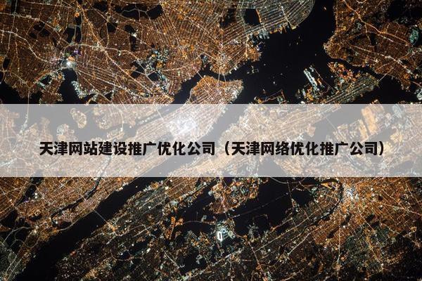 天津网站建设推广优化公司（天津网络优化推广公司）