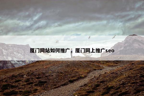 厦门网站如何推广，厦门网上推广seo