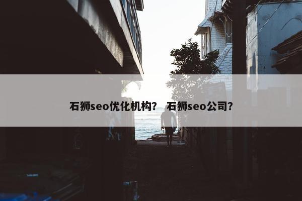 石狮seo优化机构？ 石狮seo公司？