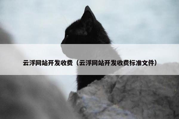 云浮网站开发收费（云浮网站开发收费标准文件）
