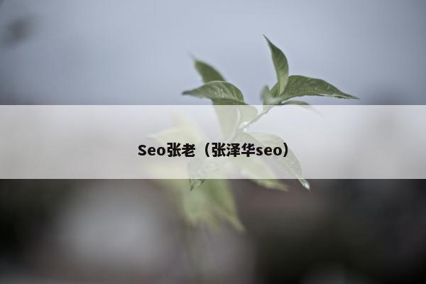 Seo张老（张泽华seo）
