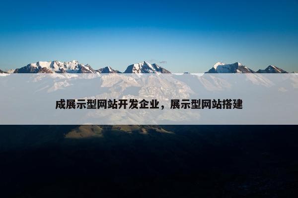 成展示型网站开发企业，展示型网站搭建