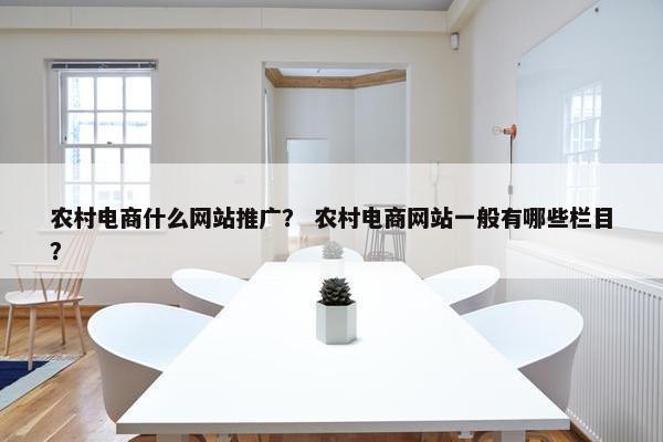 农村电商什么网站推广？ 农村电商网站一般有哪些栏目？