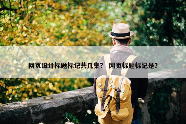 网页设计标题标记共几集？ 网页标题标记是？
