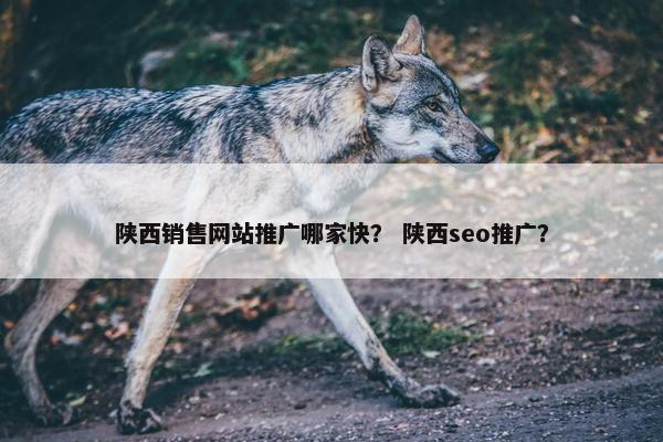陕西销售网站推广哪家快？ 陕西seo推广？