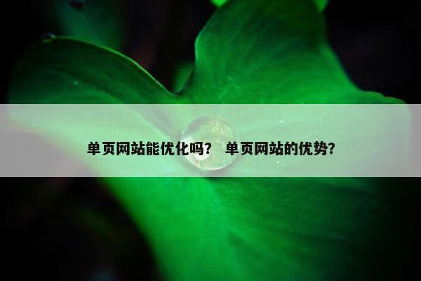单页网站能优化吗？ 单页网站的优势？