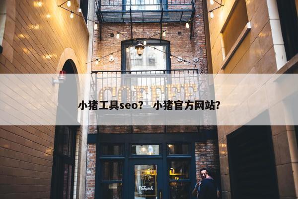 小猪工具seo？ 小猪官方网站？