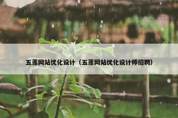 五莲网站优化设计（五莲网站优化设计师招聘）