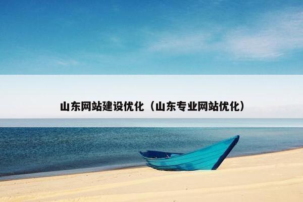 山东网站建设优化（山东专业网站优化）