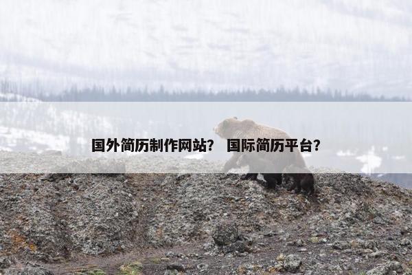 国外简历制作网站？ 国际简历平台？