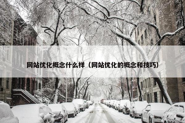网站优化概念什么样（网站优化的概念和技巧）