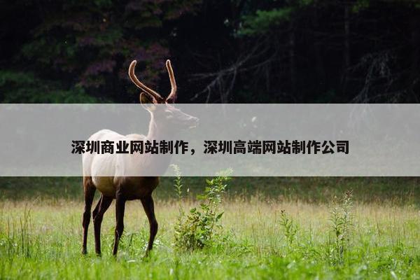 深圳商业网站制作，深圳高端网站制作公司