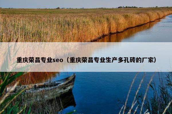 重庆荣昌专业seo（重庆荣昌专业生产多孔砖的厂家）