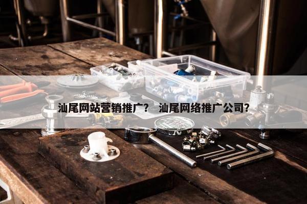 汕尾网站营销推广？ 汕尾网络推广公司？