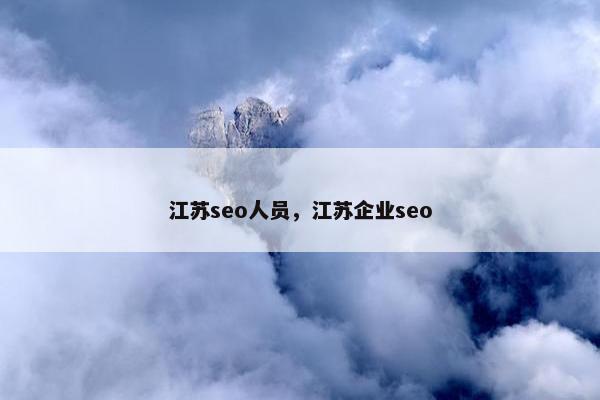 江苏seo人员，江苏企业seo