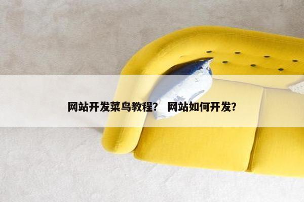 网站开发菜鸟教程？ 网站如何开发？