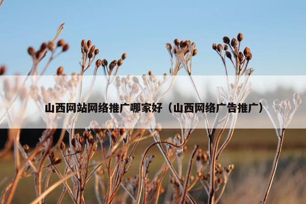 山西网站网络推广哪家好（山西网络广告推广）