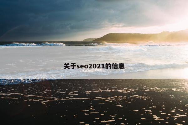 关于seo2021的信息