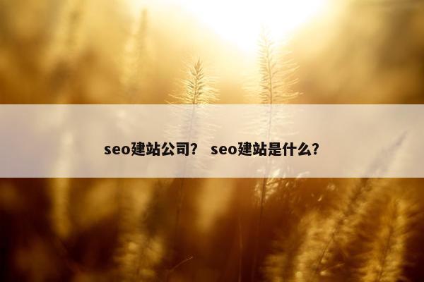 seo建站公司？ seo建站是什么？