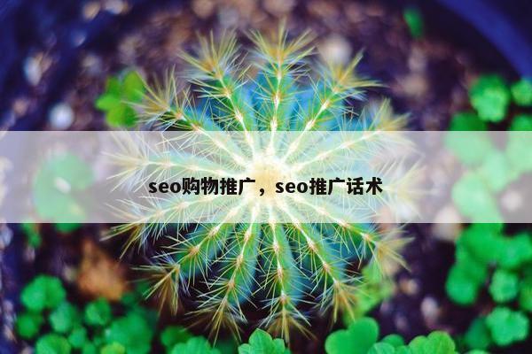 seo购物推广，seo推广话术