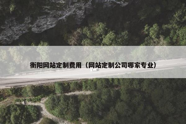 衡阳网站定制费用（网站定制公司哪家专业）