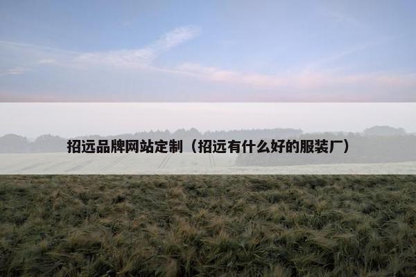 招远品牌网站定制（招远有什么好的服装厂）