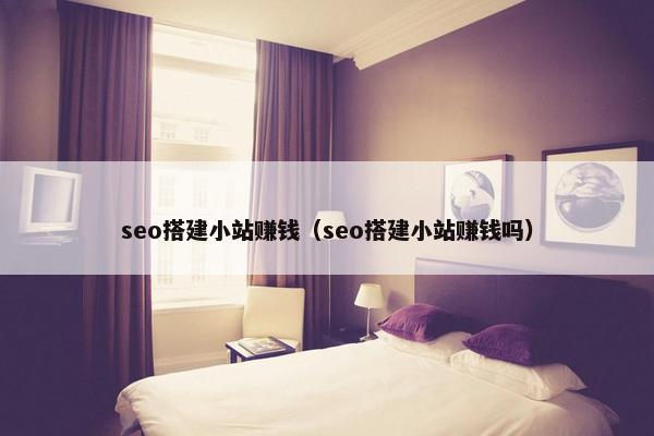 seo搭建小站赚钱（seo搭建小站赚钱吗）