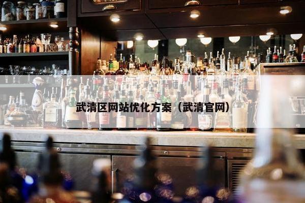 武清区网站优化方案（武清官网）