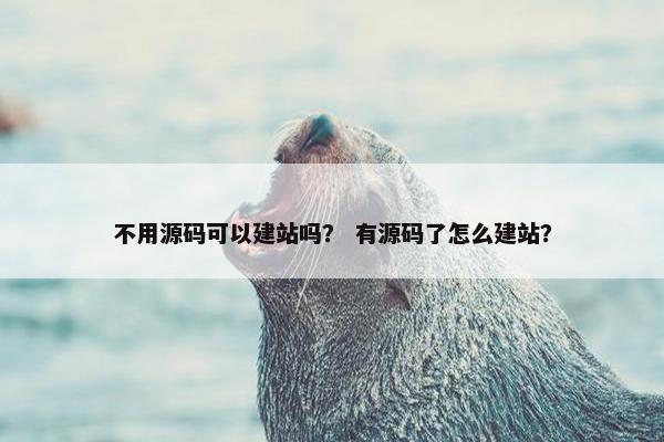 不用源码可以建站吗？ 有源码了怎么建站？