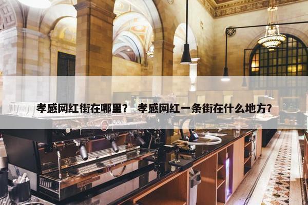 孝感网红街在哪里？ 孝感网红一条街在什么地方？