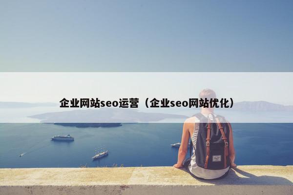 企业网站seo运营（企业seo网站优化）