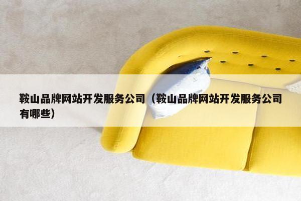 鞍山品牌网站开发服务公司（鞍山品牌网站开发服务公司有哪些）