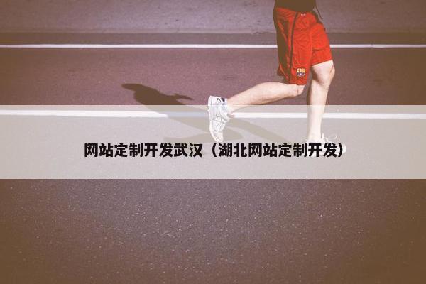 网站定制开发武汉（湖北网站定制开发）