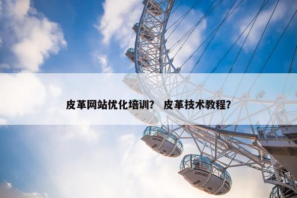 皮革网站优化培训？ 皮革技术教程？