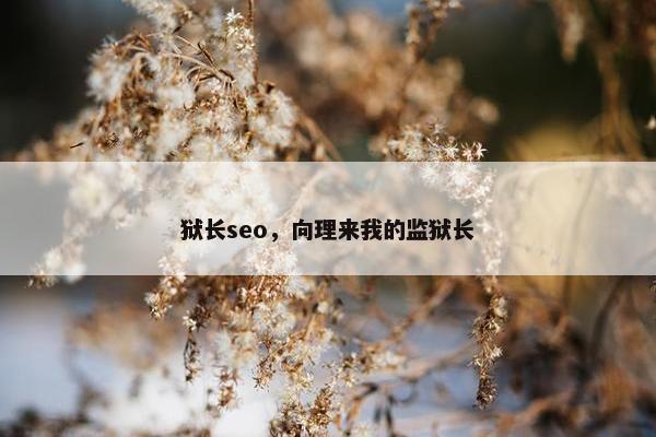 狱长seo，向理来我的监狱长
