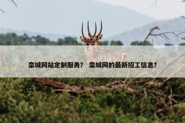 栾城网站定制服务？ 栾城网的最新招工信息？