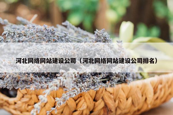 河北网络网站建设公司（河北网络网站建设公司排名）