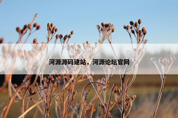 河源源码建站，河源论坛官网