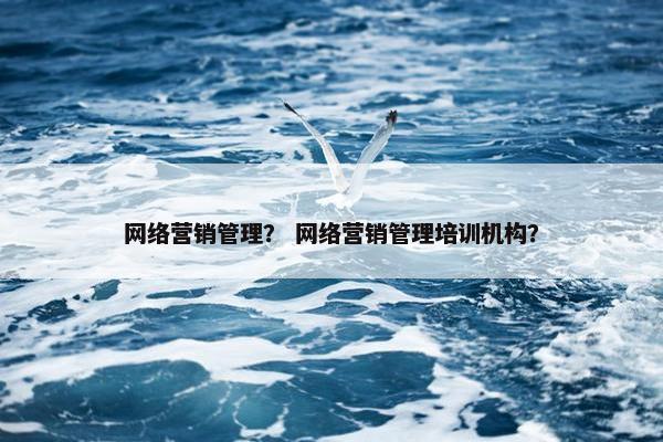 网络营销管理？ 网络营销管理培训机构？