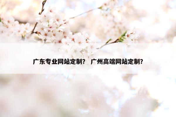 广东专业网站定制？ 广州高端网站定制？