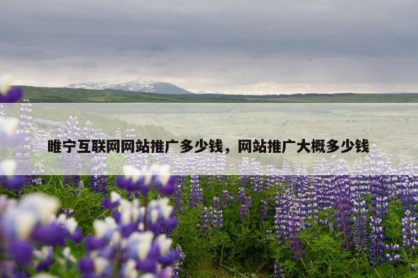睢宁互联网网站推广多少钱，网站推广大概多少钱