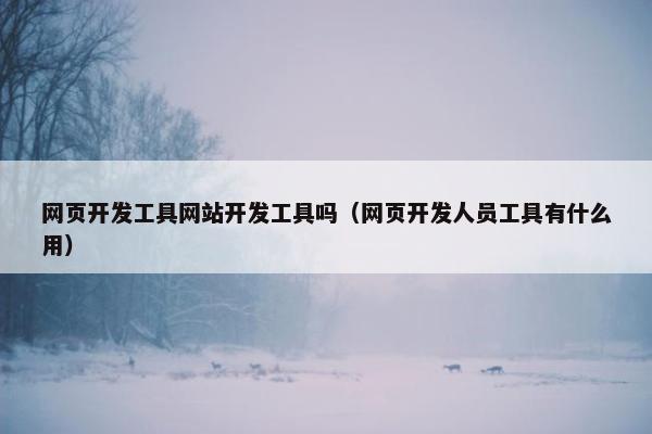 网页开发工具网站开发工具吗（网页开发人员工具有什么用）