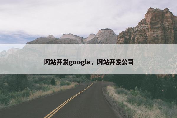 网站开发google，网站开发公司