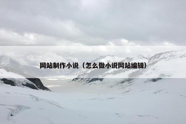 网站制作小说（怎么做小说网站编辑）