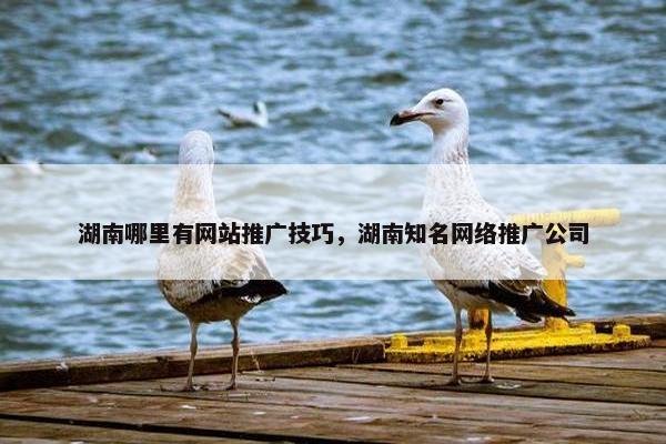 湖南哪里有网站推广技巧，湖南知名网络推广公司