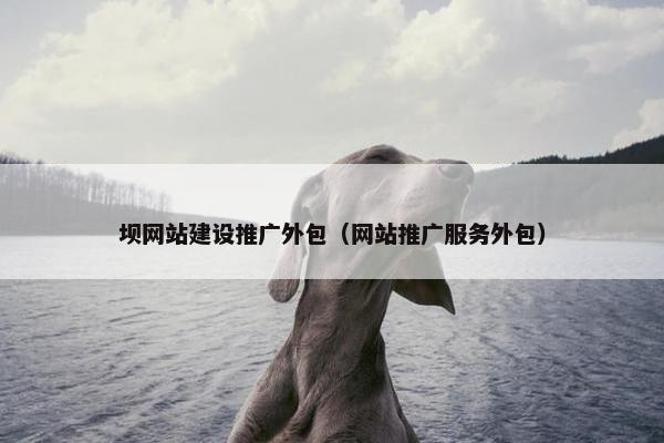 坝网站建设推广外包（网站推广服务外包）